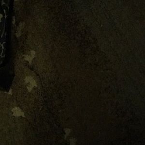 Meet your Posher, Eva